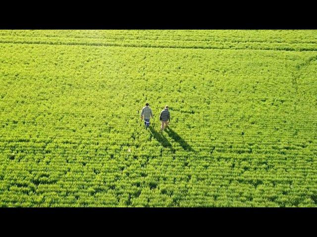 Growing community trust in the grains industry