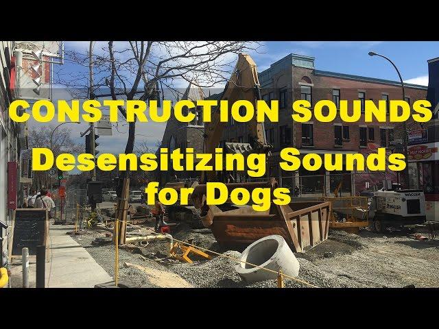 Construction Sounds - Desensitizing Sounds for Dogs