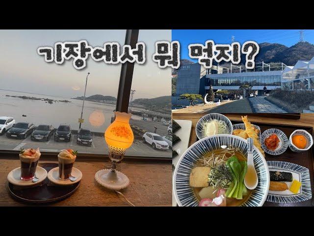 기장 vlog(정관대형두루미카페/송정오시리아부엌우동집별관/연화리백화제방카페)