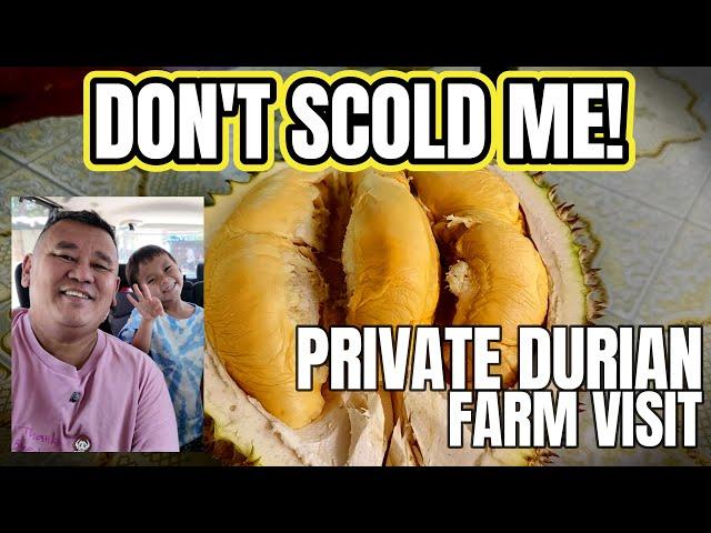 Exclusive Private Durian Farm Visit in Teluk Bahang: Tasting 5 Varieties! Watch Disclaimer First!