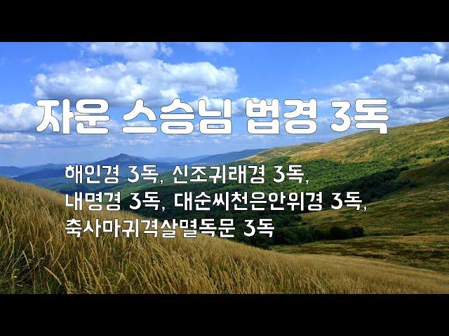 해인경,신조귀래경,내명경,대순씨천은안위경,축사마귀멸독문◑ 각 3독(三讀) 자운 스승님 [도원(道圓)대학당]