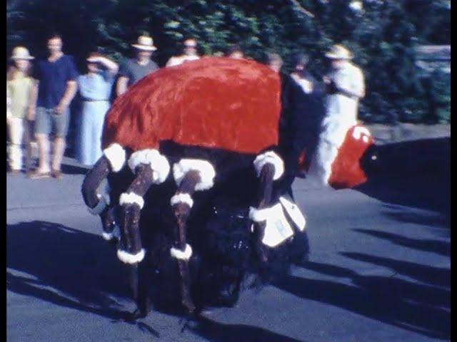 Ashburton Carnival Parade Devon 1993 F1005