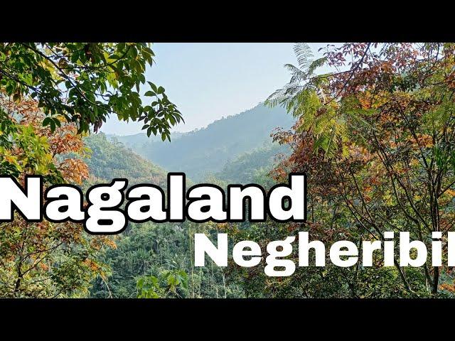 Nagaland Border || Negheribil Best Picnic place Merapani Golaghat