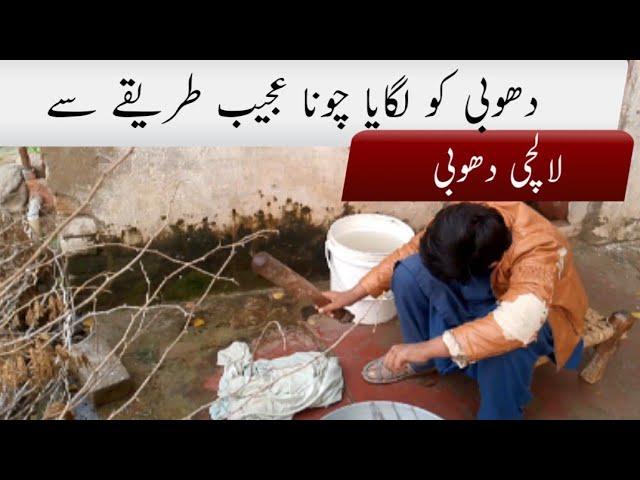 Dhobi Ko Laga Chona  Lalchi Dhobi Funny Short Drama  funny video 2024 || point pro