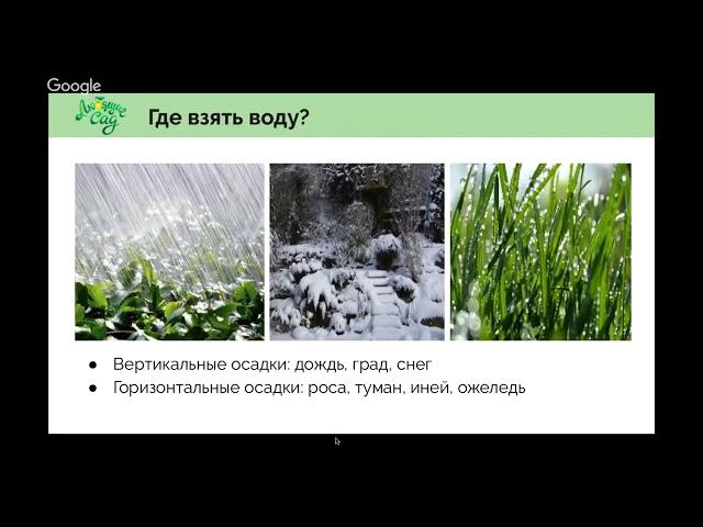 Сад без полива. Вебинар по природному саду