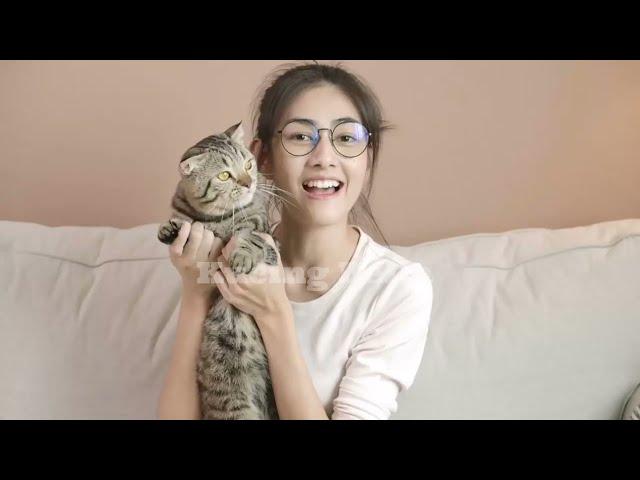 BENERAN KUCING BISA NGOMONG ! | CEK CARA KUCING BERKOMUNIKASI DENGAN KUCING LAINNYA BAHASA KUCING