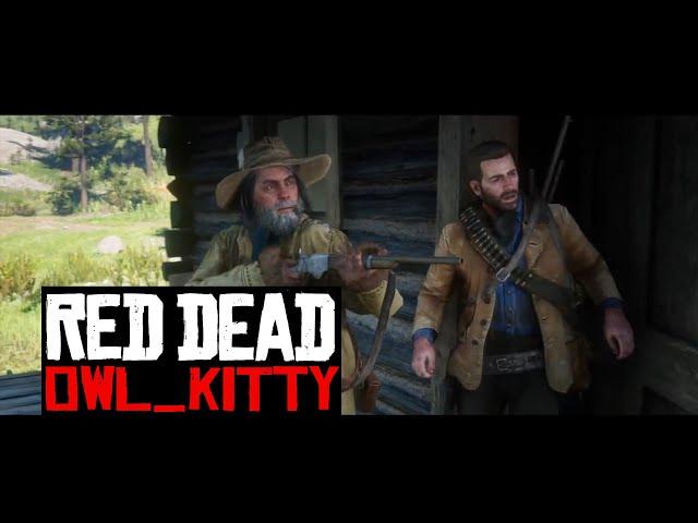 Red Dead Redemption 2: starring my cat OwlKitty