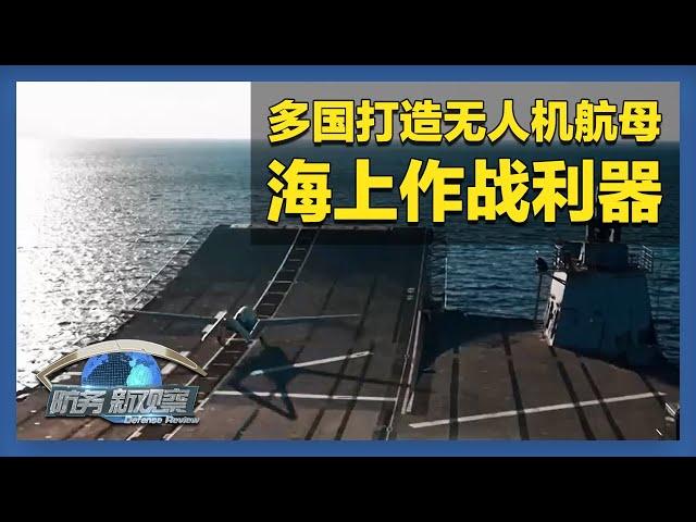 无人机航母或成海上作战新“利器”！多国加强反无人机手段 「防务新观察 Defense Review」20250407 | 军迷天下