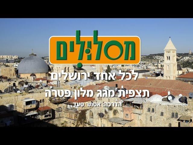 תצפית מגג מלון פטרה