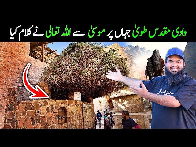 Kohe toor Wadi Tuwwa جہان پر موسی علیہ سلام سے کلام کیا اللہ تعالی نے | Egypt  tour EP.15