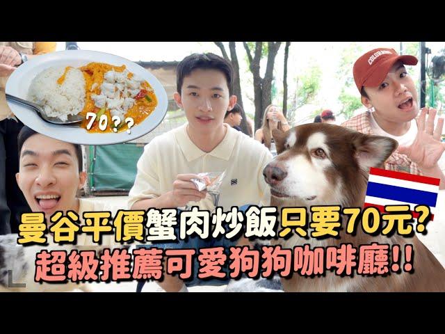 曼谷VLOG｜70元的蟹肉炒飯？泰國爆紅的奶油小熊見面會超貴XD狗狗咖啡廳很療癒