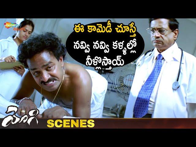 Venu Madhav Best Comedy Scene | Yogi Telugu Movie Scenes | Prabhas | Nayanthara | Shemaroo Telugu