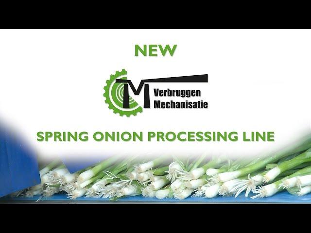 Spring onion processing line