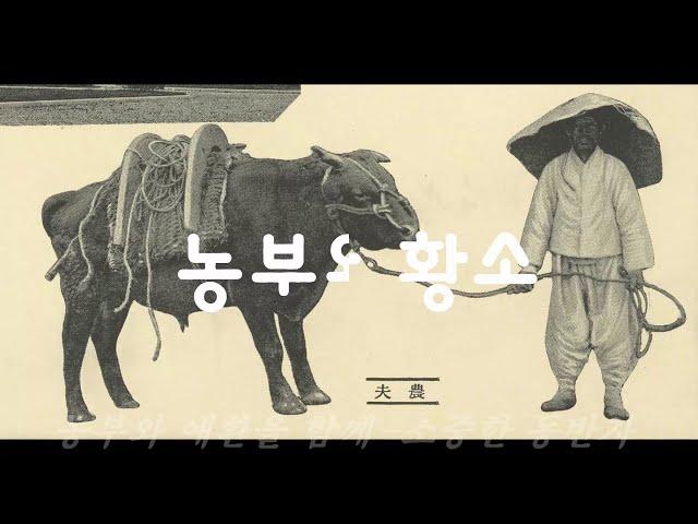 100년전 농촌생활 영상 - 1930년 외국인 여행가의 영상 자료 : 경기도 포천 농사 이야기 1년 - korean  farming