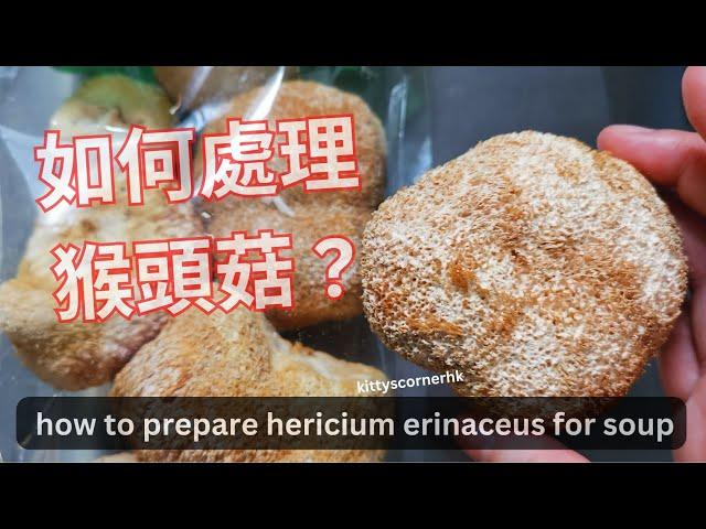 (煲湯實用篇) Q: 如何處理猴頭菇  how to prepare hericium erinaceus / kittyscornerhk