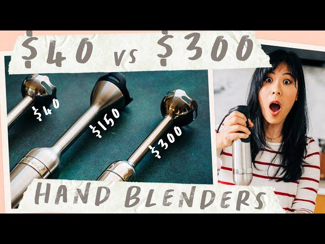 $40 vs $300 Hand BLENDERS Tested