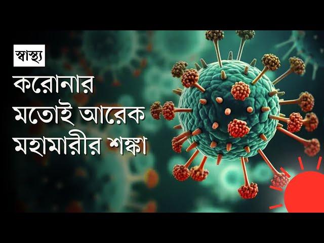 এইচএমপিভি কী? এই ভাইরাসের উপসর্গগুলো কী? | HMPV Virus | News | Prothom Alo