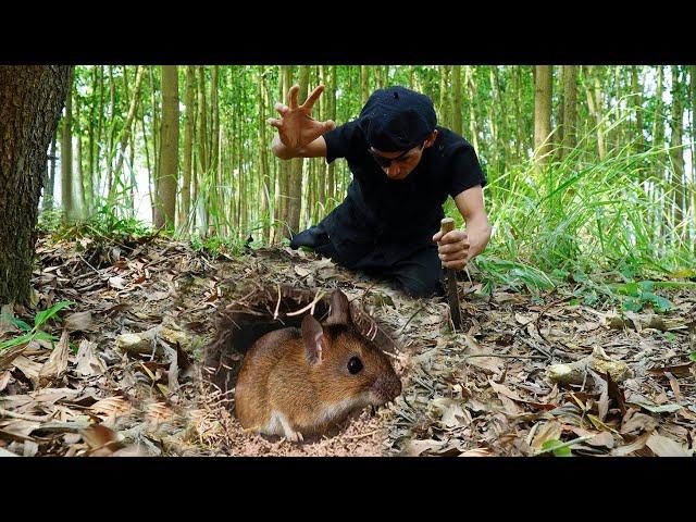 Mountain Life: Giant Rat Attack Ducks at Night, Set Traps, Dig Holes to Catch Rat | Wild Hunt Begins