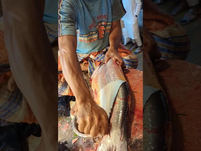 Amazing Pangas Fish Cutting Skills In Bangladesh Fish Market By Expert Cutter #shorts