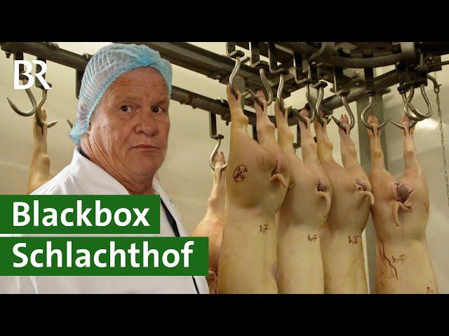 Zwischen Tierschutz-Skandal und Wirtschaftlichkeit: Schlachthof unter Druck | Unser Land | BR