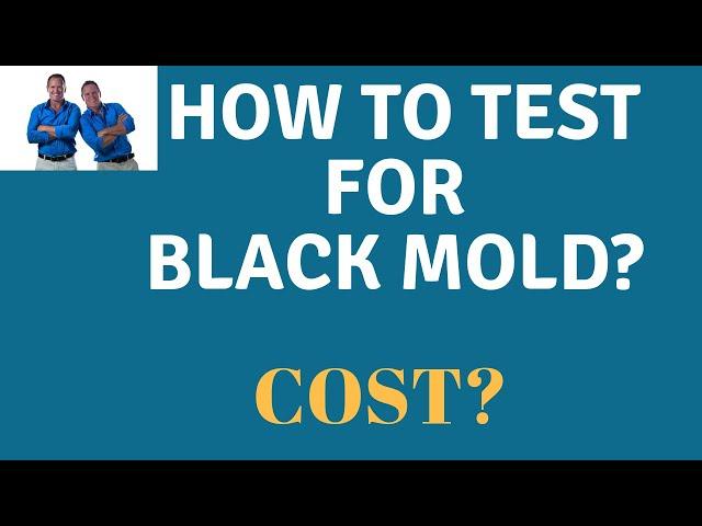 Mold Air Testing: What Does It Cost? What Are The Steps To Testing For Mold In Your Home?