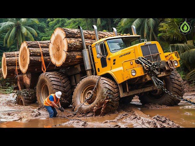 Dangerous Idiots Truck & Heavy Equipment Fails Compilation | Extreme Truck Idiots at Work #52