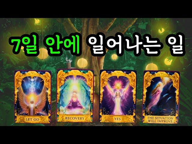 타로️7일 안에 일어나는 일 (1월20일~1월26일) 주간타로