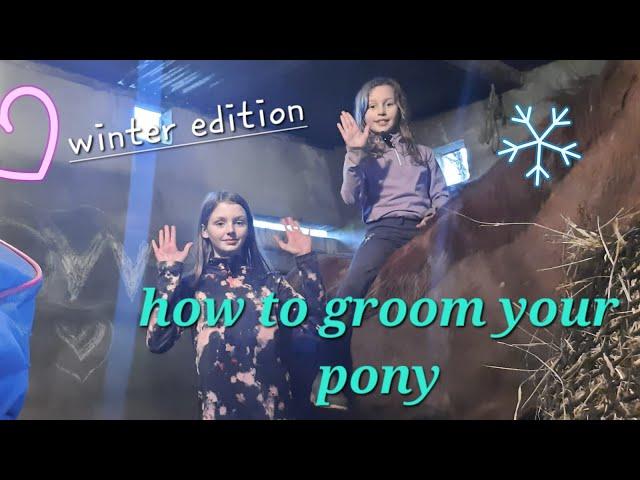 how to groom your pony #pony #equestrian