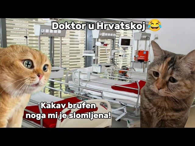 Doktori u Hrvatskoj 