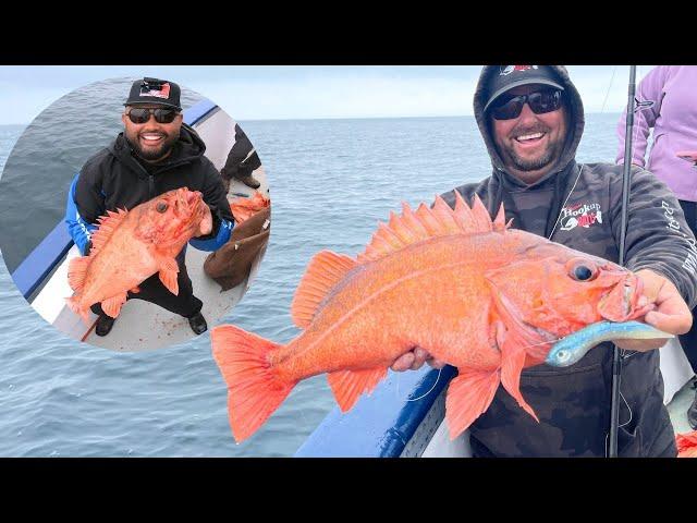 HOOKUP BAITS MASTERCLASS- How to Catch ROCKFISH Tips & Tricks