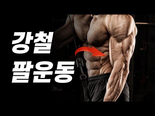 팔 운동 루틴팔 근육 전체를 한번에 끝내는 '4종목 16세트'