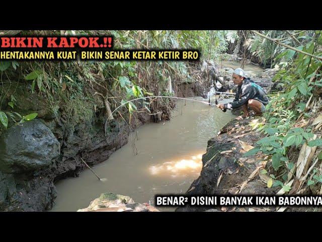 TUMBANG.!! MANCING NUTUL DI SUNGAI ARUS DERAS || BABONNYA SADIS BIKIN SENAR SAYA PUTUS BRO