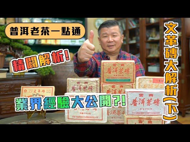 【普洱老茶一點通】EP.04 / 業界30年文革磚經驗大公開! / 普洱文革磚大解析