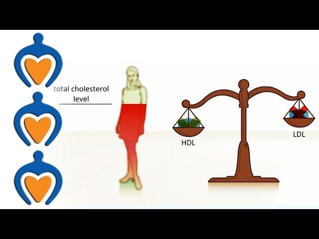 Cholesterol - what is it and how can you prevent high cholesterol?