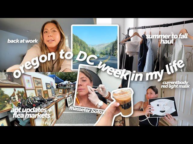 weekly vlog: visiting home, back to office, masseter botox, finally decorating my apartment