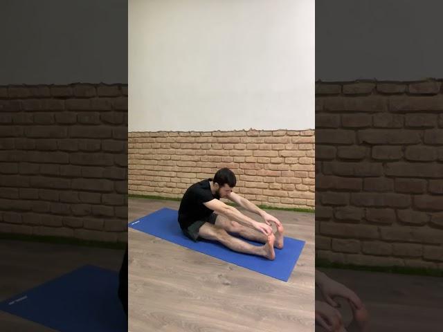 HAMSTRINGS STRETCH and SPINE FLEXION
