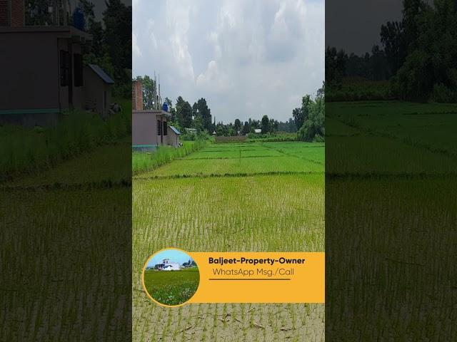 Kawasoti 12 Nawalpur Sadar Mukam Butwal Bardghat Lumbini Chitwan Bharatpur Ramro Ghar  jagga bikri M