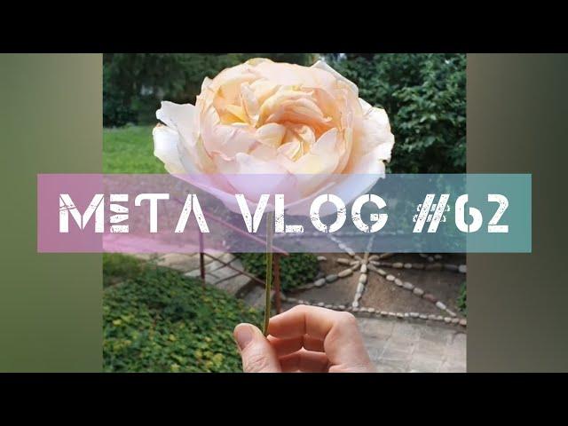 MΣƬΛ VLOG #62 - Smell my Rose 