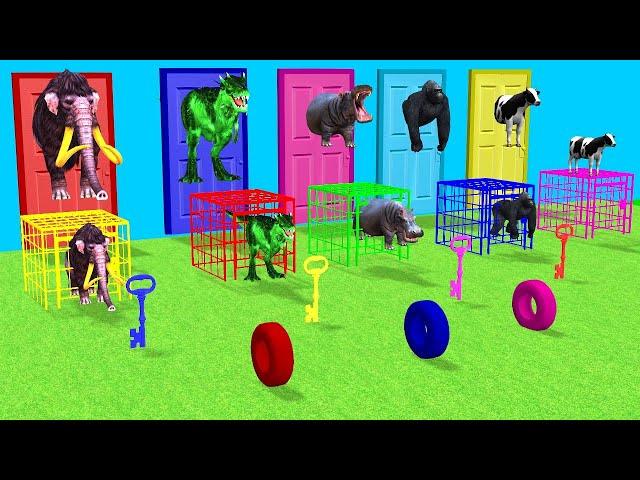 Choose The Right Key with Gorilla Cow Mammoth Elephant Dinosaur Animal Crossing Door Game