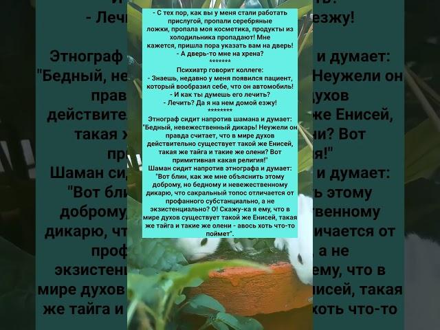 ПОДБОРКА АНЕКДОТОВ  #анекдоты #Юмор #История #Жизнь #Анекдот #Прикол #США
