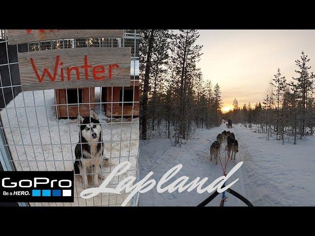 Lapland Finland  | GoPro HERO8 | Husky