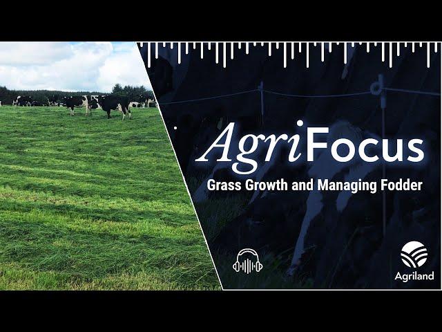 Grass growth and managing fodder with Teagasc advisor Fergal Maguire