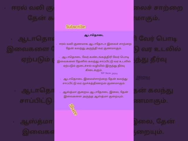 Healthy Lifestyle Tips Tamil: Justicia adhatoda, ஆடாதொடை