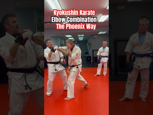 Kyokushin Karate Brutal Elbow Combination #kyokushin #karate #short #shorts #training #osu