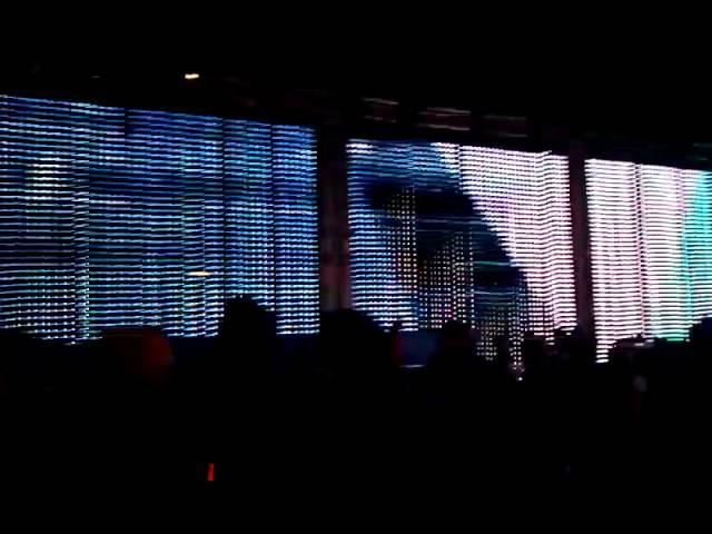 igloofest in the crowd