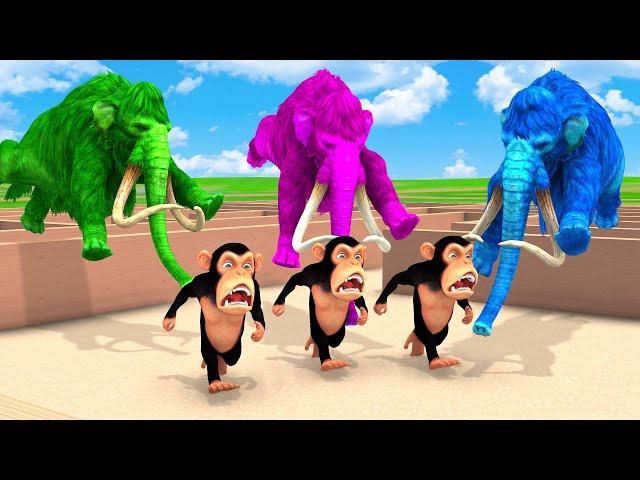 5 Giant Zombie Mammoths Chasing Funny Monkey Escape Maze Temple Run Game - Bibi Monkey Escape Plan