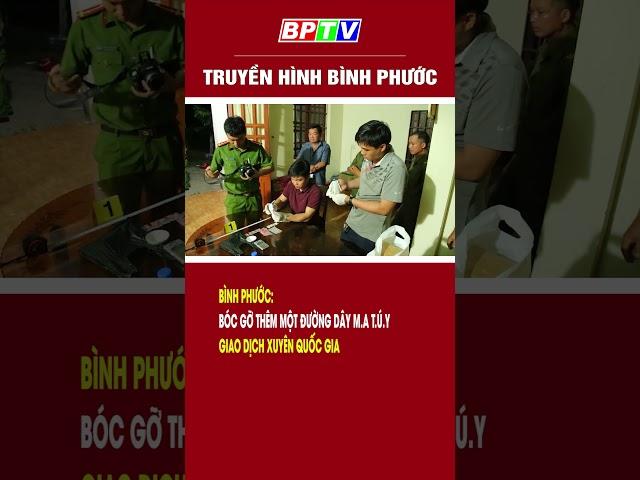 Bình Phước: Bóc gỡ thêm một đường dây m.a t.ú.y xuyên quốc gia #shorts  | BPTV