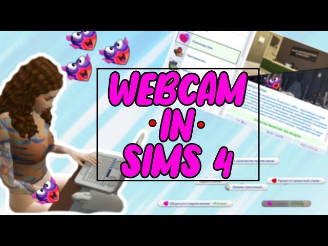 WEBCAM in SIMS 4??????