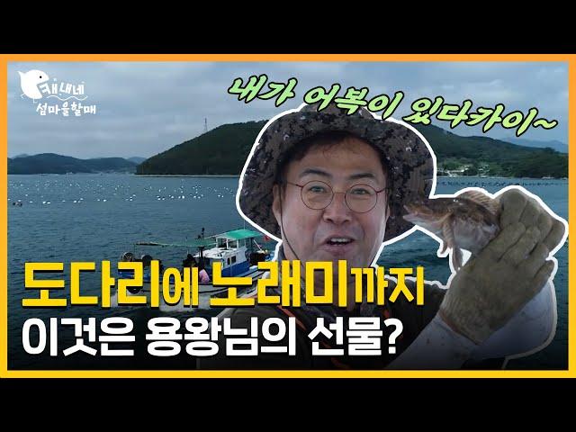 정겨운 바다 냄새   | 용왕님요~ 물고기 좀 많이 잡히게 해주이소  | 섬마을할매