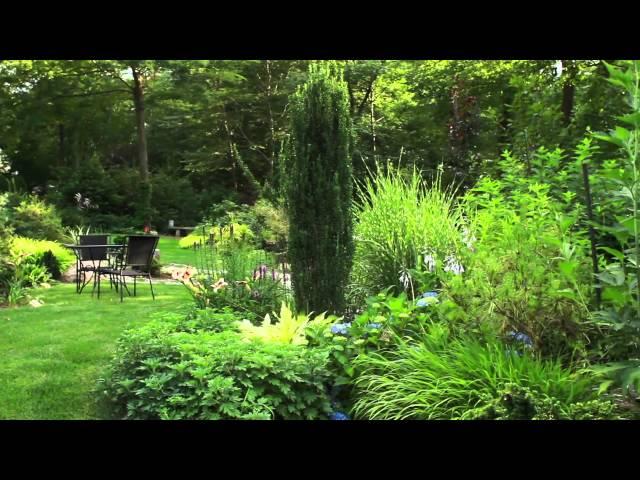 Summer Garden Tour-Behind the scenes of Growing Wisdom and our backyard set